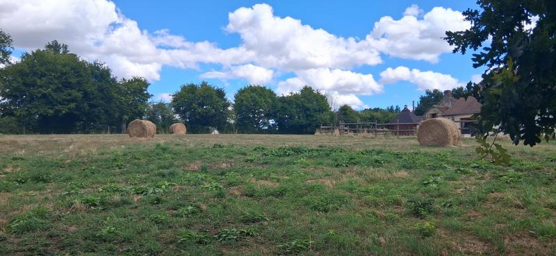 Maison - 185 m² - 6 pièces