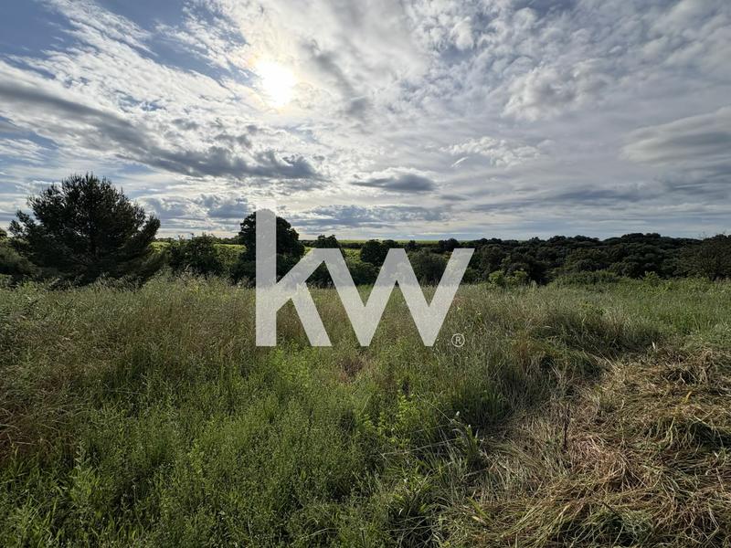 Terrain de loisirs - 1 980 m²