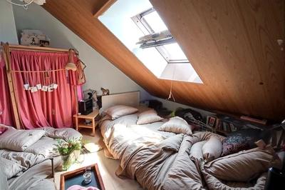 Studio - 31 m² - 1 pièce