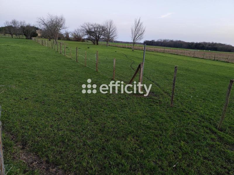 Maison - 208 m² - 6 pièces