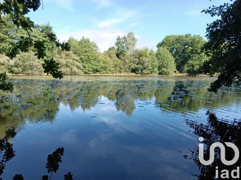 Terrain - 37 398 m²