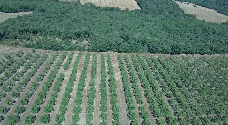 Propriété - 147 m² - 6 pièces