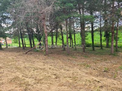 Terrain constructible - 1 000 m²