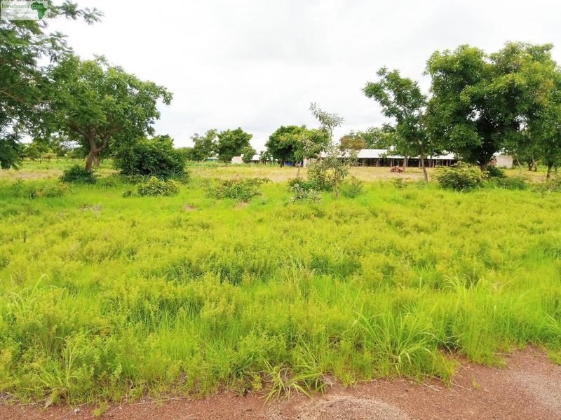 Terrain constructible - 800 m²