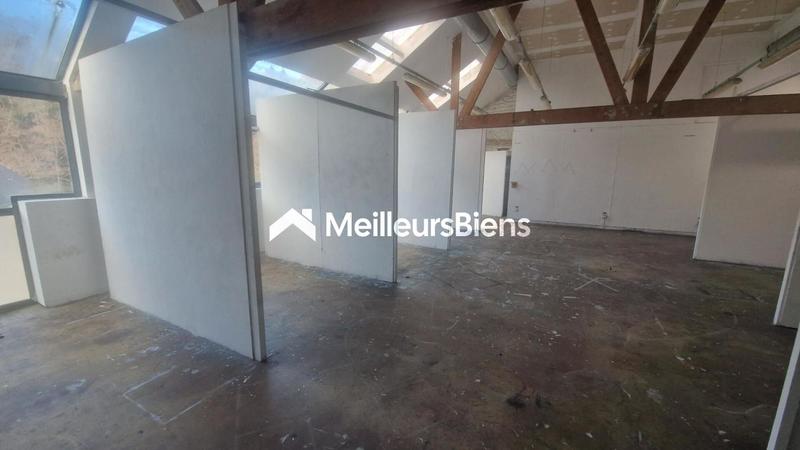 Local d'activité / Entrepôt - 1 273 m² - 6 pièces