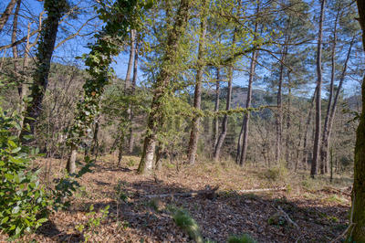 Terrain - 1 500 m²