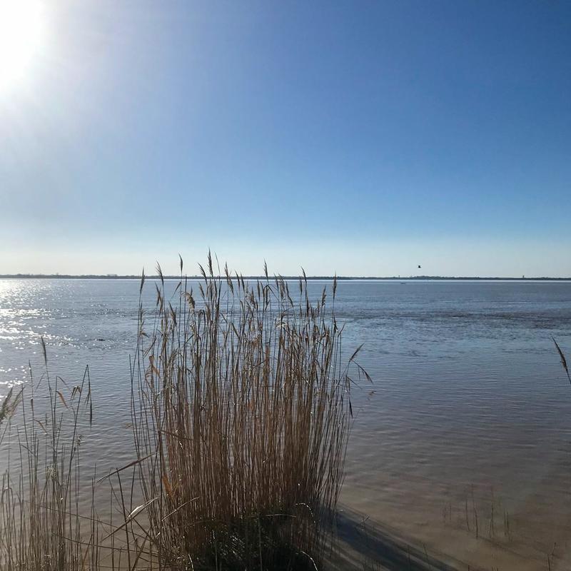 Maison - 225 m² - 9 pièces