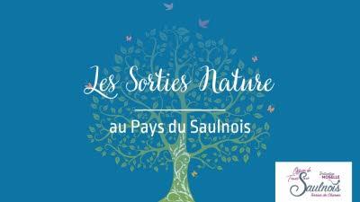 La fôret se la raconte