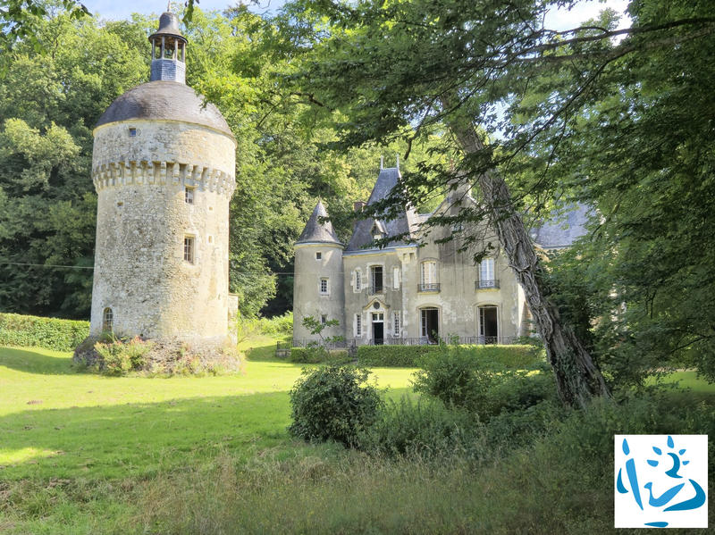 Château - 386 m² - 13 pièces