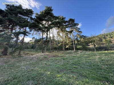 Terrain constructible - 8 215 m²