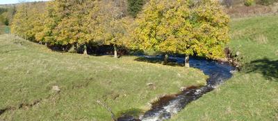 Maison - 136 m² - 8 pièces