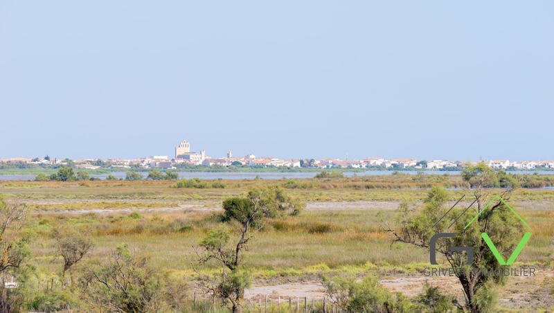 Mas - 218 m² - 7 pièces