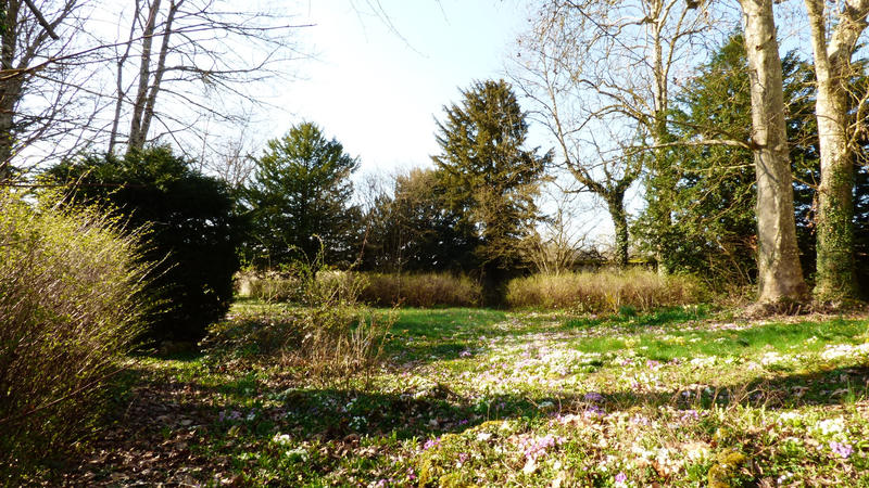 Propriété - 373 m² - 15 pièces