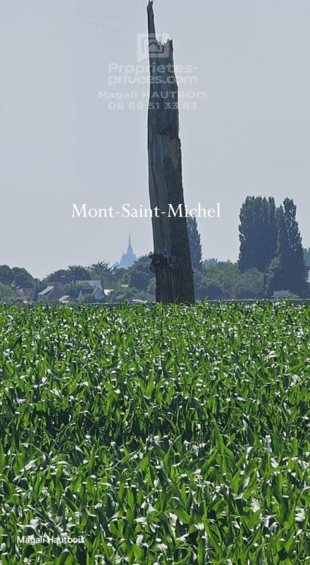 Maison - 149 m² - 6 pièces