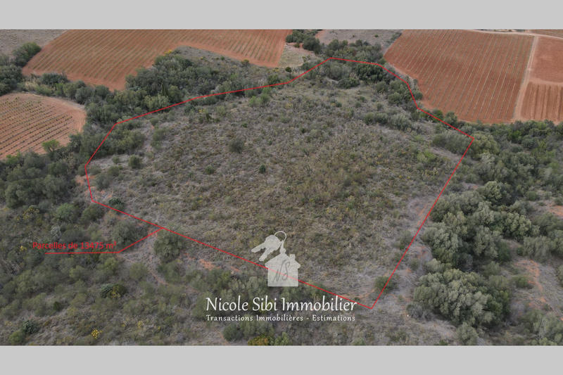 Terrain agricole - 13 475 m²