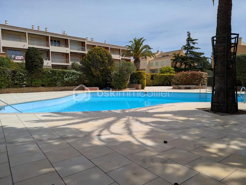 Studio - 19 m² - 1 pièce