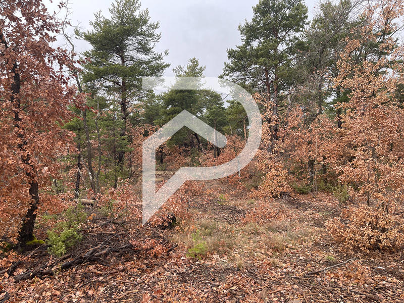 Terrain agricole - 37 641 m²