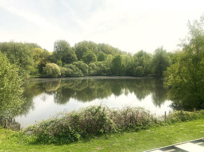 Propriété - 19 000 m² - 6 pièces