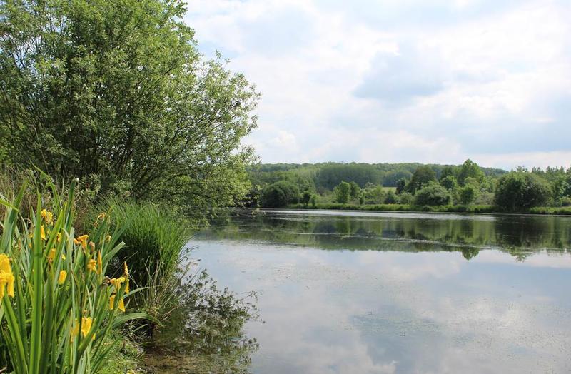 Balade le printemps aux tourbières