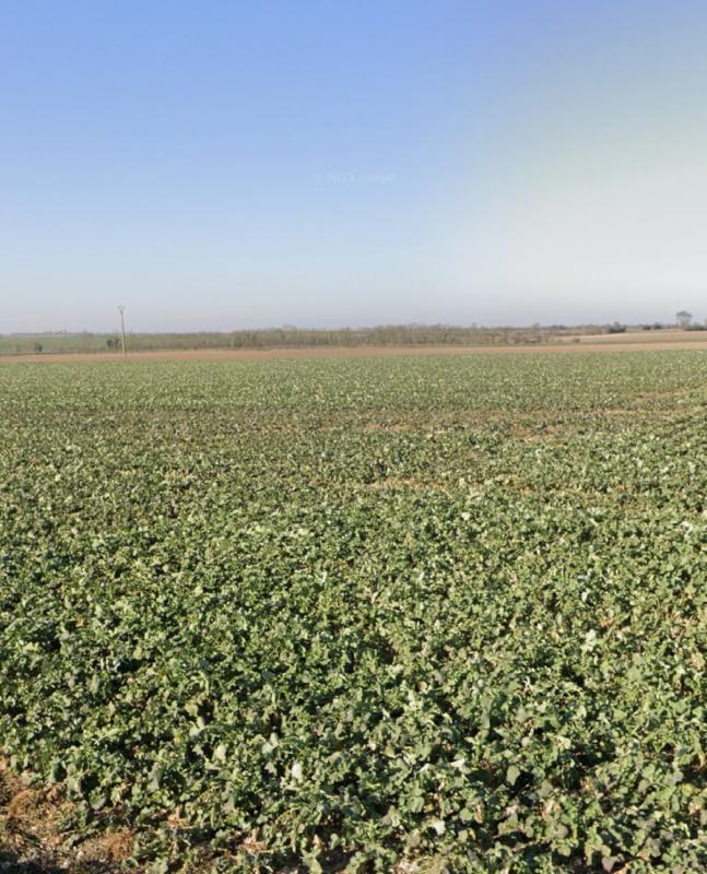 Terrain constructible - 335 m²