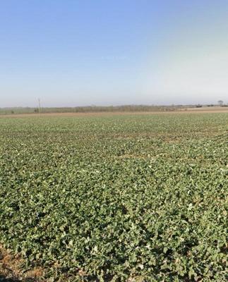 Terrain constructible - 335 m²