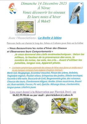 Découverte des oiseaux