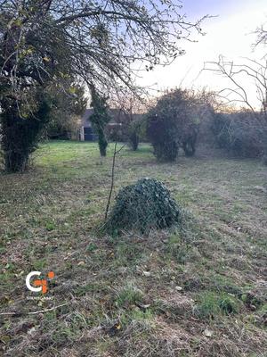 Terrain constructible - 2 428 m²