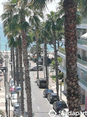 Appartement - 25 m² - 1 pièce