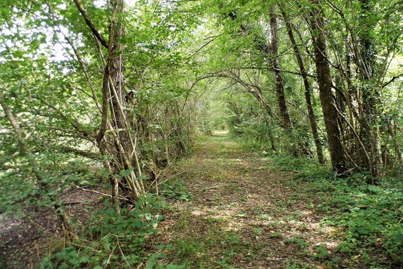 Terrain - 464 000 m²