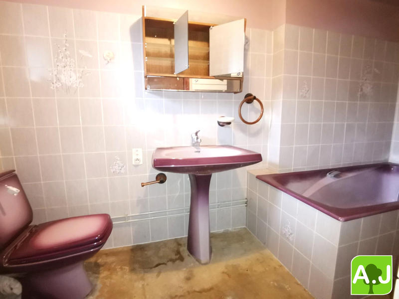 Maison ancienne - 332 m² - 9 pièces