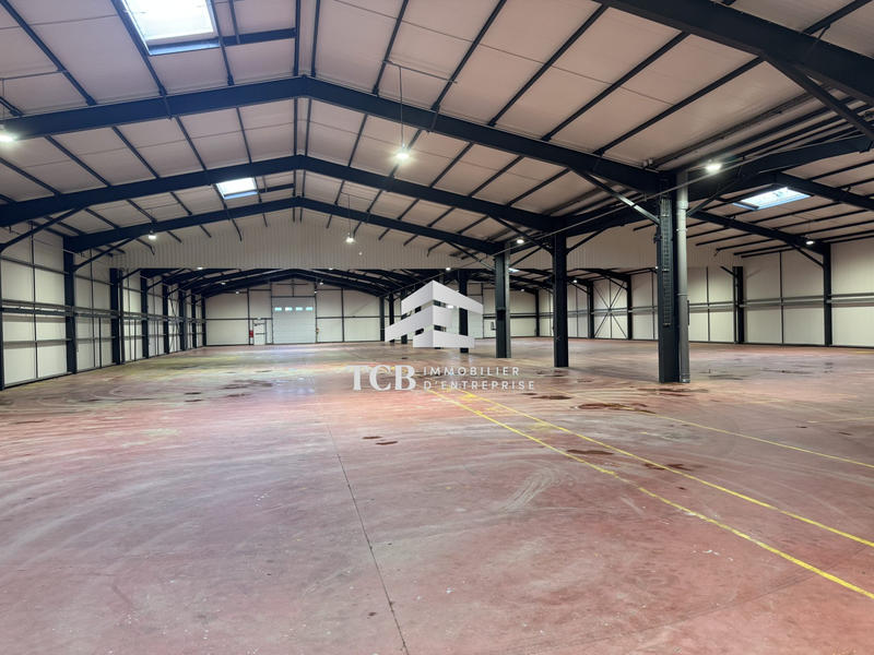 Local d'activités - 2 620 m²