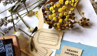 Semer des graines poétiques