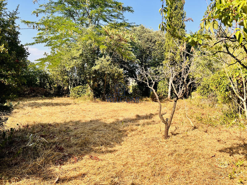 Terrain - 767 m²