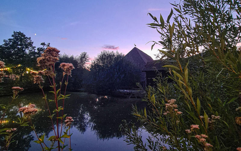 Rendez-vous nature : la tête dans les étoiles