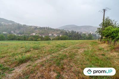 Terrain - 8 469 m²