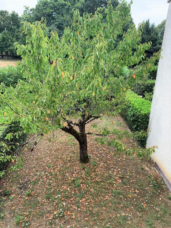 Maison - 114 m² - 5 pièces