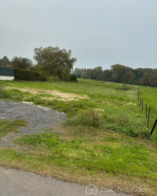 Terrain - 4 200 m²