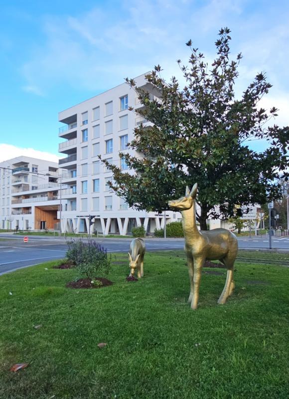 Appartement - 62 m² - 3 pièces