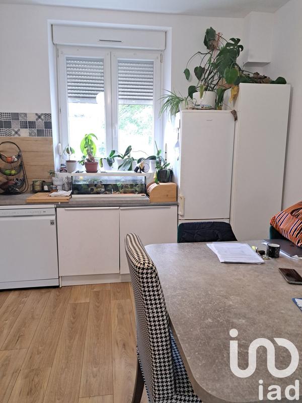 Appartement - 74 m² - 4 pièces