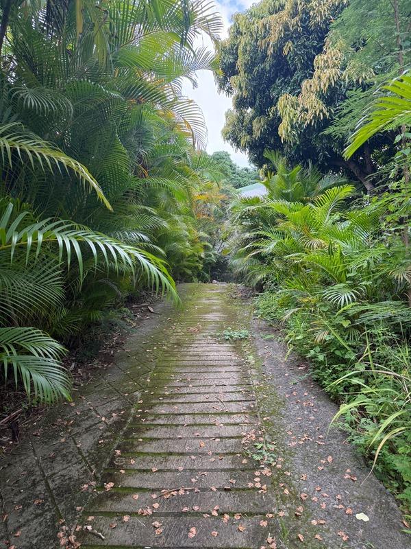 Terrain constructible - 473 m²