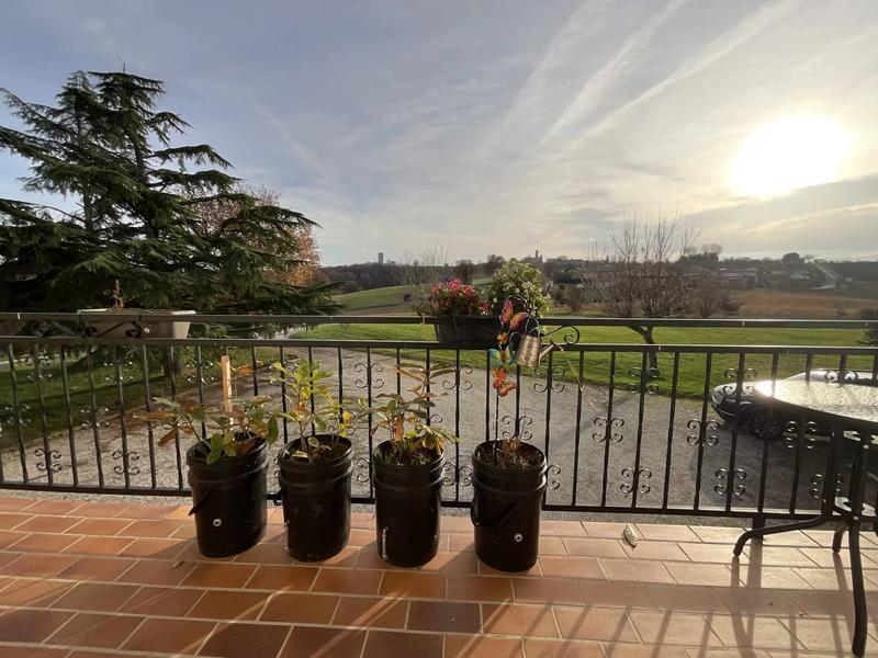 Appartement - 125 m² - 4 pièces