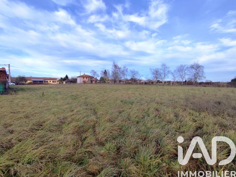 Terrain - 4 361 m²