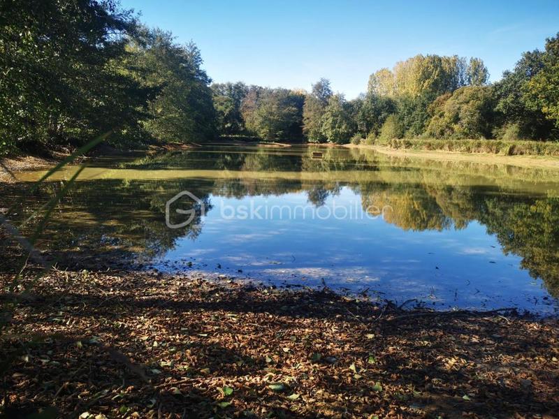 Terrain de loisirs - 26 062 m²