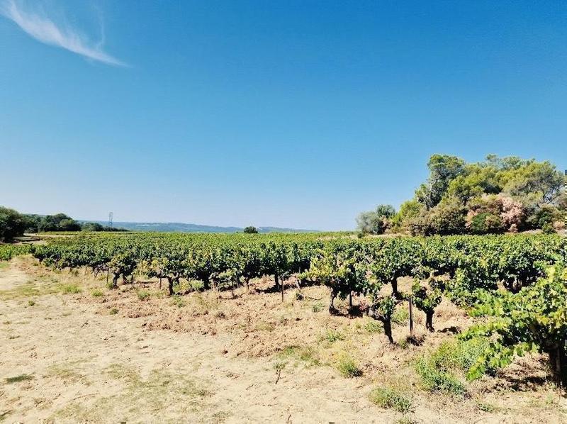 Propriété - 463 m² - 8 pièces