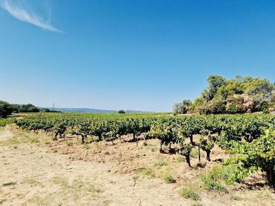 Propriété - 463 m² - 8 pièces