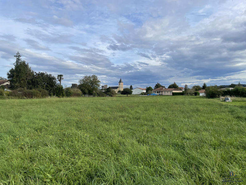 Terrain - 11 654 m²