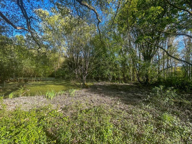 Terrain constructible - 6 804 m²