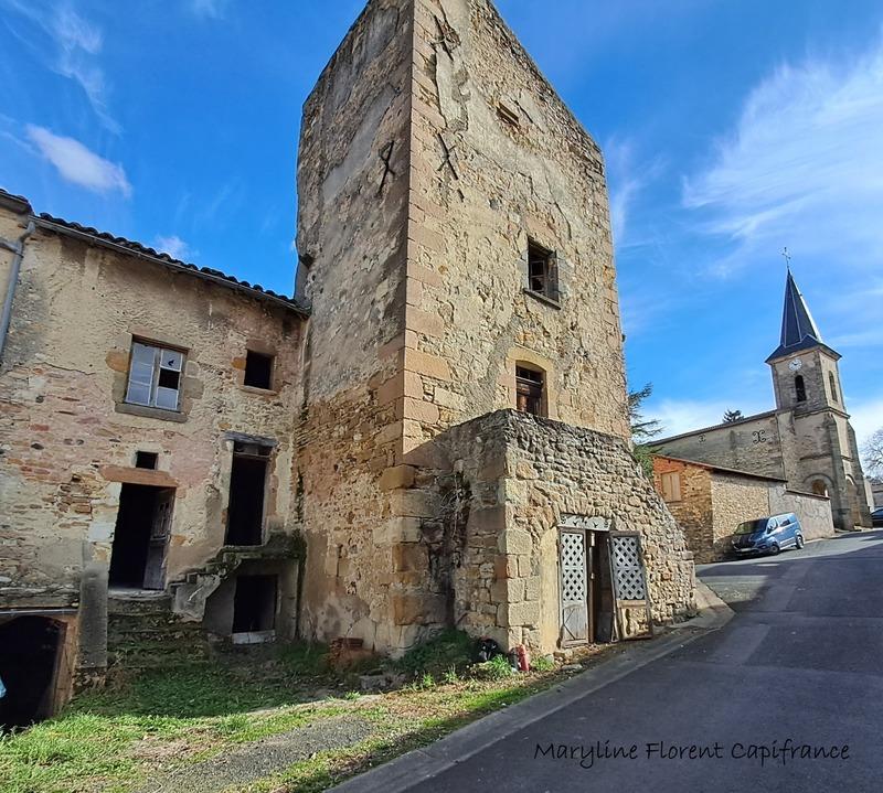 Maison en pierre - 175 m² - 10 pièces