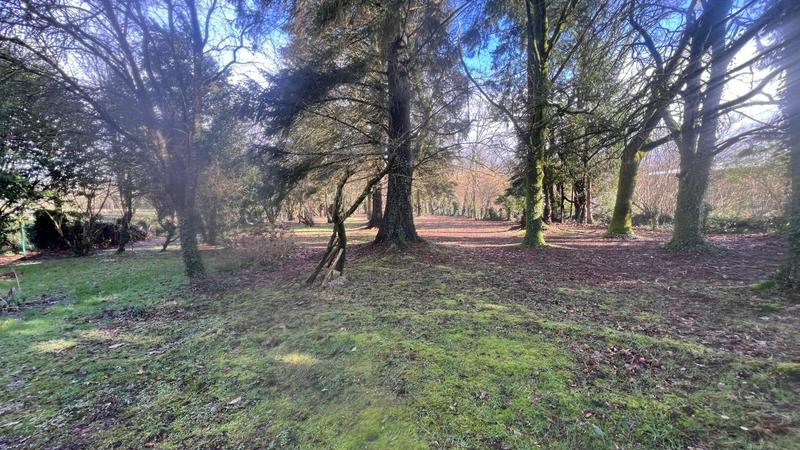 Maison - 207 m² - 8 pièces