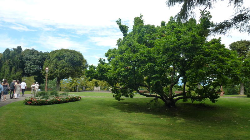 Visite guidée du Bas Rebberg, quartier des industriels